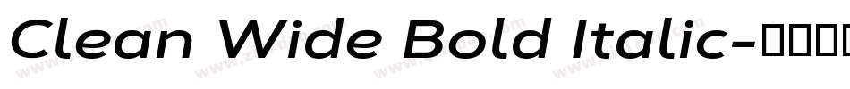 Clean Wide Bold Italic字体转换